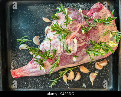 Lammkeule vor dem Kochen mit Kräutern und Gewürzen und Knoblauch Stockfoto