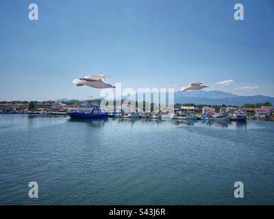 Hafenblick mit Fähre und zwei großen fliegenden Möwen in Keramoti in Griechenland. Stockfoto