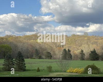 Blick auf einen malerischen Hinterhof in East Lyme, Connecticut im Frühling, während die Bäume ihre Blätter entwickeln. Grüne Laubtöne mit Holz im Hintergrund. Stockfoto