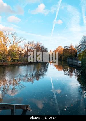 Symmetrie Herbst Stockfoto
