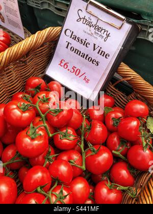 Klassische Vine Tomaten wurden an einem Bauernmarkt verkauft Stockfoto