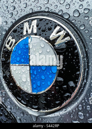 BMW-Abzeichen mit Regentropfen Stockfoto