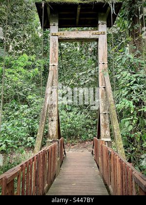 Blick auf eine kleine hölzerne Hängebrücke in einem tropischen Wald. Foto wurde im Mai 2023 in Guadeloupe aufgenommen Stockfoto