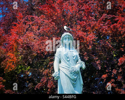 Möwe steht auf einem Bein auf dem Kopf einer Statue vor einem sich ausbreitenden Buche aus Kupfer Stockfoto