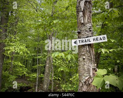 Im Frühling ist der Wanderweg in den Catskill Mountains, New York, USA bekannt Stockfoto