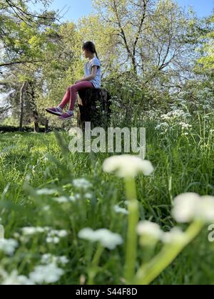 Ein Mädchen, das auf einem Baumstamm im Park sitzt, umgeben von KuhPetersilie Stockfoto