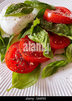 Nahaufnahme eines italienischen Salats mit frischem Basilikum, gereiften Tomaten und Mozzarella Burrata, 2023, USA Stockfoto