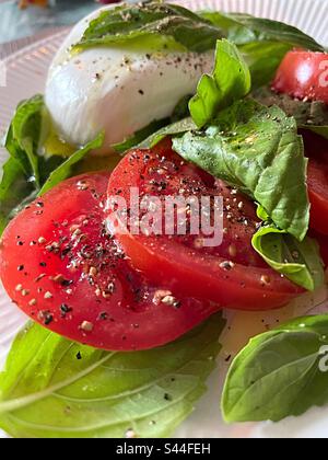 Nahaufnahme eines frischen Basilikums, gereifter Tomaten und Burrata-Käsesalat, 2023, USA Stockfoto