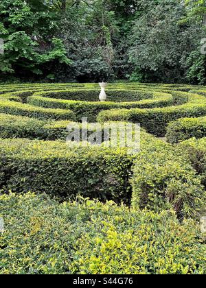 Das Yew Labyrinth in Iveagh Gardens in Dublin, Irland. Stockfoto