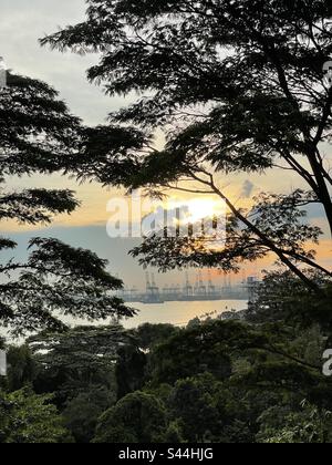 Singapur tropische Sonnenuntergangsszene in Sentosa mit Pasir Panjang Hafen im Hintergrund Stockfoto