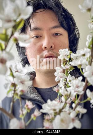 Nahaufnahme eines jungen Asiaten mit Strauß weißer Kirschpflaumen. Frühjahrsthema. Stockfoto
