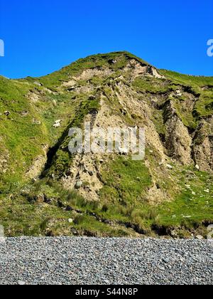 Klippen am Pistyll Beach, Llyn Peninsula, North Wales mit wilden Ziegen. Stockfoto