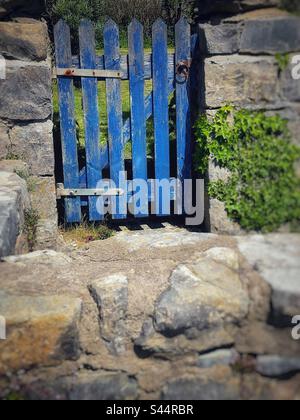 Altes blaues Holztor in einer Natursteinmauer mit Efeu. Stockfoto