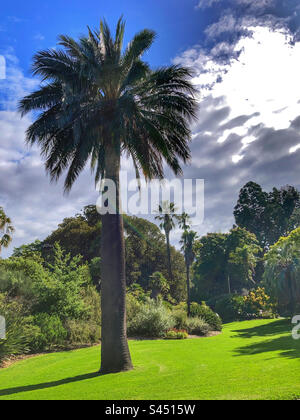 Royal Botanic Gardens Victoria Melbourne Stockfoto