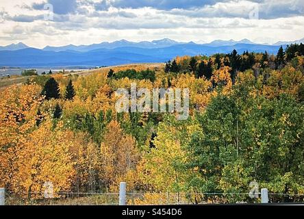 Muster in der Natur, Kanadische Rocky Mountains, Banff National Park, Herbst an den Ausläufern, Herbst, Farben Stockfoto