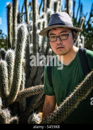 Porträt eines jungen Asiaten mit Brille und Hut, der zwischen Klumpen hoher, dünner Kakteen vor blauem Himmel steht. Stockfoto