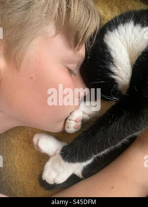 Der Junge schläft mit der Katze Stockfoto