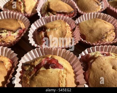 Frisch gebackene Muffins mit schwarzen Johannisbeeren auf dem Backblech, Nahaufnahme Stockfoto