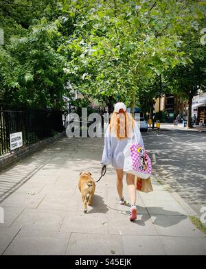 Eine Frau mit roten Haaren führt ihre Bulldogge in London entlang der Straße Stockfoto