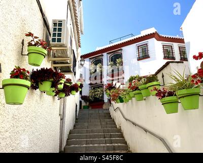 Wunderschöne Blumenausstellung auf den Straßen von Estepona in Spanien Stockfoto