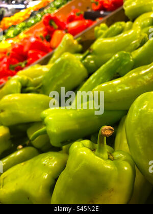 Verschiedene Paprika, mit grünen im Vordergrund. Stockfoto