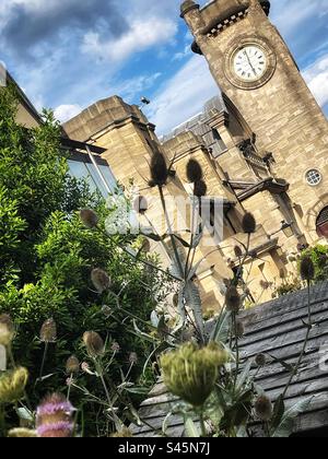 Die Uhr schlägt sechs im Uhrenturm des Horniman Museums, dem Architekten Charles Harrison Townsend, in einem Art and Crafts Stil c1900 auf dem Forest Hill in London. Pflanzen zur Förderung von Bienen im Garten Stockfoto