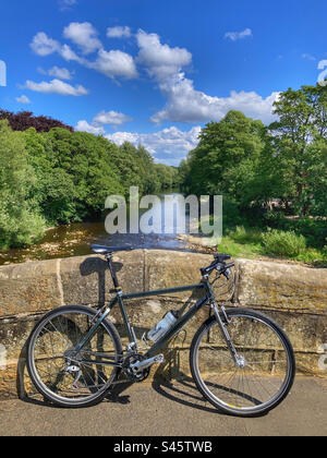 Pace RC200 F5 Mountain Bike auf der alten Brücke über den Fluss Wharfe in Ilkley West Yorkshire Stockfoto