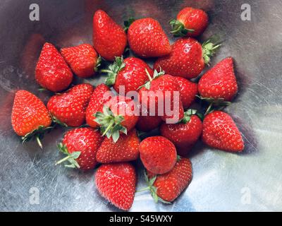 Frische Sommererdbeeren in einer Edelstahlschüssel. Stockfoto