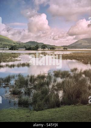 Die überschwemmte Wiesenlandschaft des Flusses Derwent, der in Borrowdale im Lake District Cumbria England in Derwentwater eindringt Stockfoto
