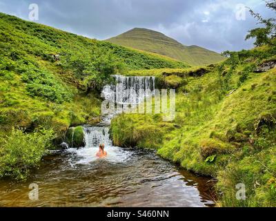 Junge Frau schwimmt in einem Wasserfall unter Cribyn in Bannau Brycheniog ( Brecon Beacons), Juli. Stockfoto