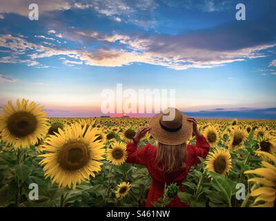 Rückansicht einer Frau mit Sommerkleid und Hut, die glücklich auf einem Feld voller blühender Sonnenblumen ist Stockfoto
