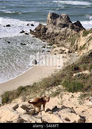 Felsformation Castelo/Leão (je nach Perspektive) an der Westküste Portugals Stockfoto