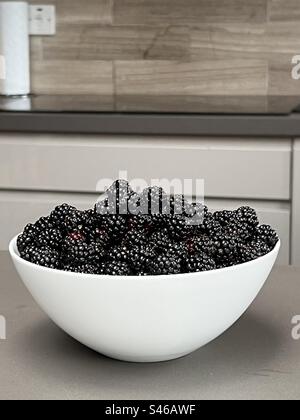 Schüssel mit frisch gepflückten Brombeeren Stockfoto