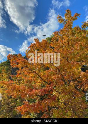 Orangefarbener Herbstbaum mit blauem Himmel und weißen Wolken in Karlsbad, Tschechische Republik. Stockfoto