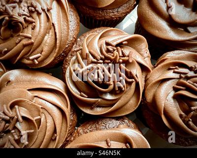 Chocolate cupcakes with sprinkles viewed from above Stock Photo