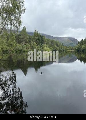 Glencoe Lochan Trails, in der Nähe von Ballachulish, Schottland. Naturspaziergänge in Schottland. Stockfoto