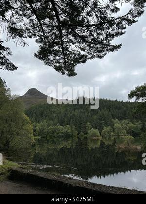 Glencoe Lochan Trails, in der Nähe von Ballachulish, Schottland. Naturspaziergänge in Schottland. Stockfoto