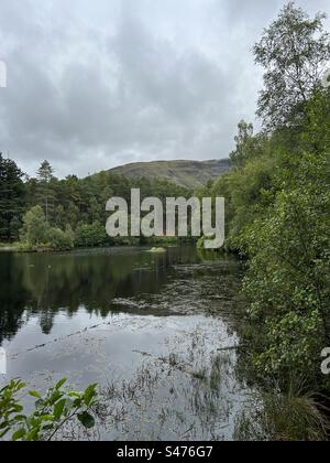 Glencoe Lochan Trails, in der Nähe von Ballachulish, Schottland. Naturspaziergänge in Schottland. Stockfoto