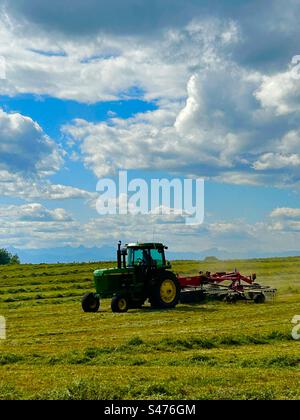 Heu im Süden Albertas, Kanada, Landwirtschaft, Ackerbau, Landwirtschaft, moderne Maschinen, sonniger Tag, Heu machen, während die Sonne scheint Stockfoto