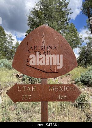 Kilometermarke Arizona Trail, Pine View Trailhead, hoch aufragende Kiefer, massive Monsunwolken, strahlend blauer Himmel, Kiefer, Arizona Stockfoto