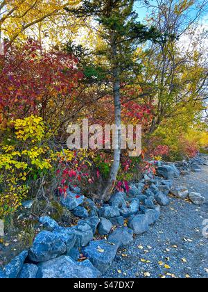 Herbst in Alberta, Kanada, Bowness Park, Calgary, Stockfoto