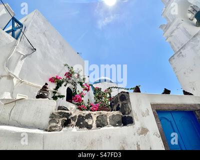 Im Dorf Megalochori auf der Insel Santorin, Griechenland, scheint die Sommersonne auf weiß getünchte Gebäude mit blau bemalten Akzenten und einem leuchtend rosa Blumenstrauch mit Bougainvillea. Stockfoto