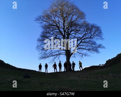 Hadrianswall, Northumberland. März 2022. Eine Gruppe von Wanderern steht in der Nähe der berühmten Sycamore Gap-Bäume an der Hadrian-Mauer. Der Baum wurde am 28. September 2023 in einem Akt des Vandalismus gefällt. Stockfoto