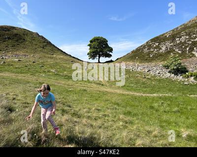 Mädchen, das im Juni 2023 bei Sycamore Gap in der Nähe der Hadrians Wall lief Stockfoto