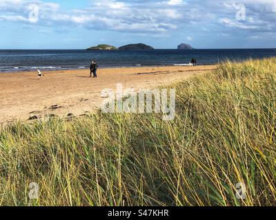 Menschen am Yellowcraig Beach, mit Blick auf Craigleith und den Bass Rock, East Lothian Coast, Schottland Stockfoto