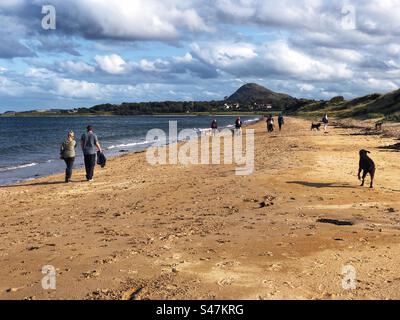 Leute laufen am Yellowcraig Beach mit Blick auf Berwick Law, North Berwick Schottland Stockfoto