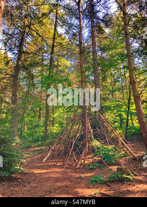 Schutz im Wald Stockfoto