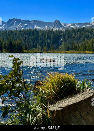 Crystal Crag und Twin Falls vom Ufer der Twin Lakes in Mammoth Lakes, Kalifornien. Stockfoto