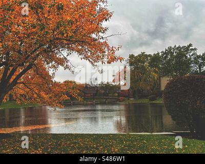 Herbstfarben an regnerischen Tagen und einem See Stockfoto