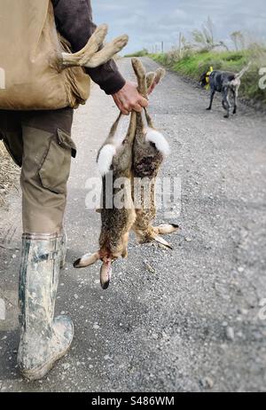 Hunter und sein Hund gehen nach einer Jagd mit Hasen nach Hause Stockfoto